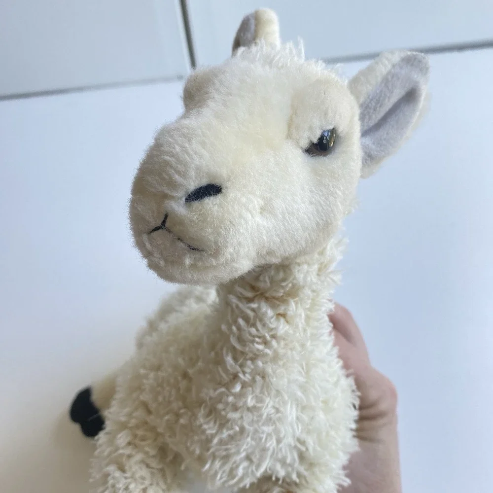AURORA World LLAMA 12